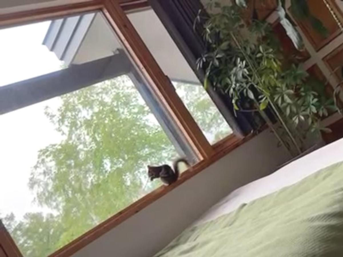 منزل الضيف بيي  في Ritz Garden Niji المظهر الخارجي الصورة