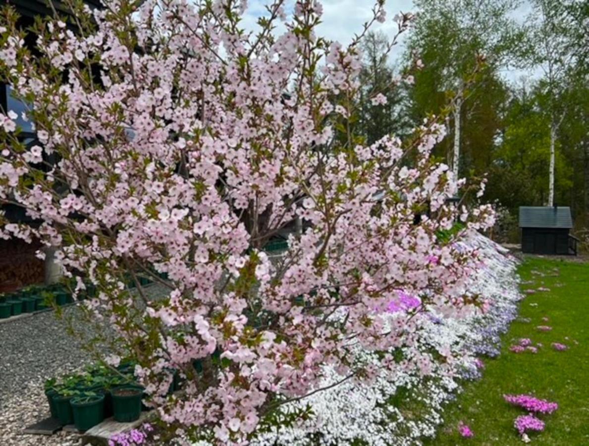 منزل الضيف بيي  في Ritz Garden Niji المظهر الخارجي الصورة