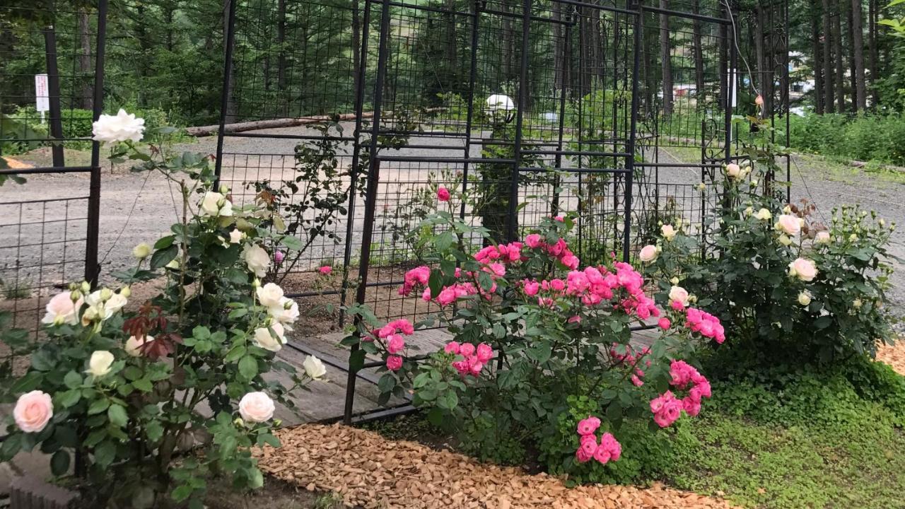 منزل الضيف بيي  في Ritz Garden Niji المظهر الخارجي الصورة
