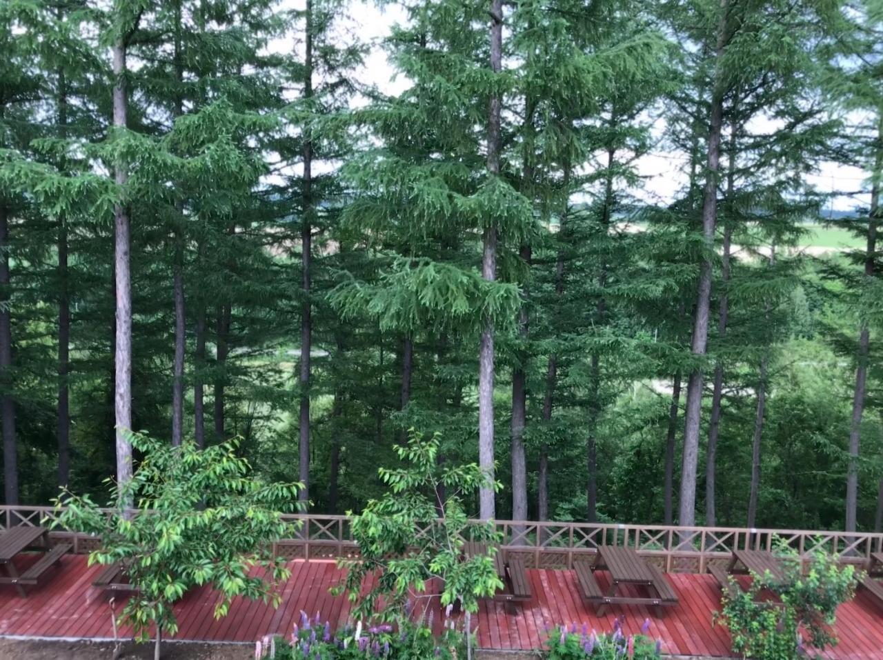 منزل الضيف بيي  في Ritz Garden Niji المظهر الخارجي الصورة